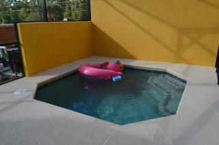 1320 - Aladin Cozy Bella Vida Kissimmee Close Disney - Kissimmee - 6