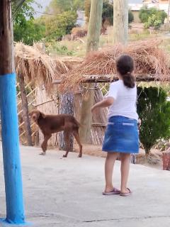 auberge yeswal aoulad yaakoube - - 5