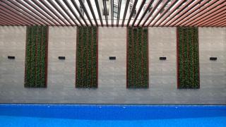 Apartament Social Tree 907 - 4