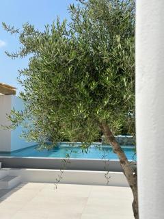 Alio Naxos Luxury Suites - Agios Georgios - 7