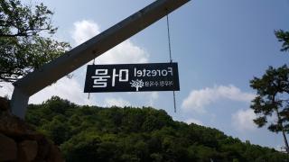Forestel Meomul - Suncheon - 6
