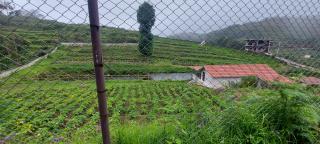 Armaan's mud mart - Kodaikanal - 4