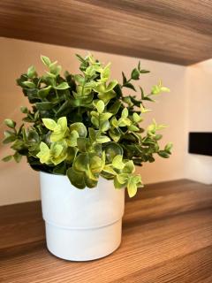 Appartamento del BUFO - appartamento al lago - Endine Gaiano - 5