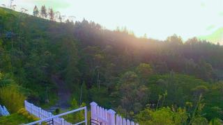 Lassana Holiday Bungalow - 4