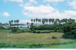 Unicorn Jeju - Seogwipo - 8