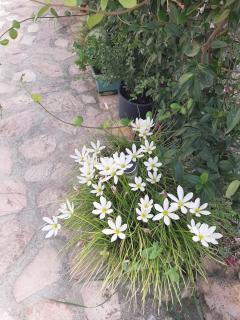 Denni’s Home - Sarandë - 4