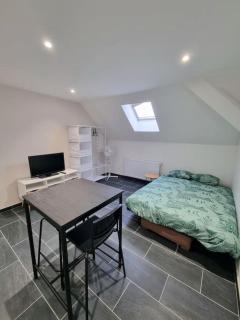Le Rio - Studio gare et centre - Mulhouse - 1