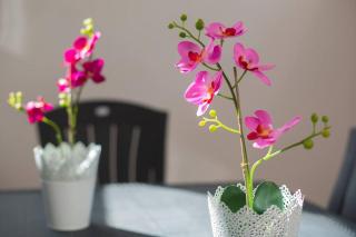 Piso Gexel Casco histórico con garaje - 0