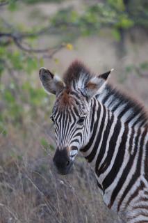 Xanatseni Private Camp - 8