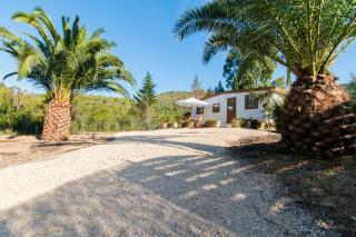 Celestina country house's - Portoferraio - 3