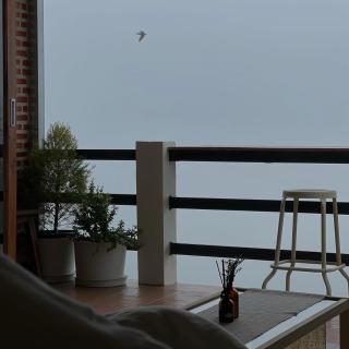 November พฤศจิกายน - 7