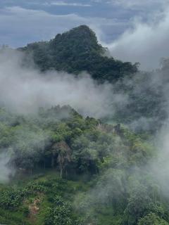 November พฤศจิกายน - 1