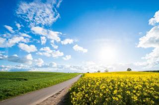 Ferienwohnung Lüttje Glück - 6