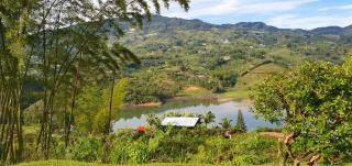 Finca Buena Vista - Guatapé - 8