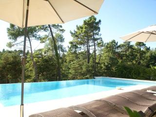 Pleasant apartment in Montauroux with terrace - Montauroux - 0