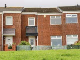 Sea View Cottage - South Shields - 9