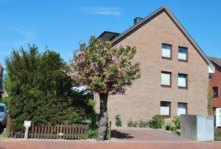 Haus Am Anker Wohnung 3 - 1