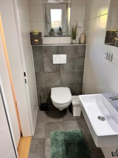 Holiday apartment in Gmunden - - 2