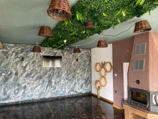 Вила Дружинци - 2