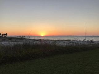 Kingfisher - Navarre - 0