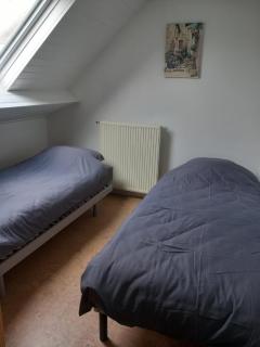 slapen bij alpacas - 8