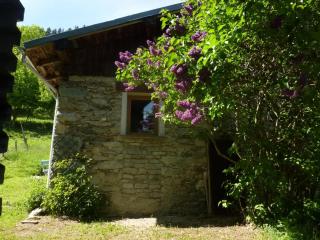 Grany Authentique Maison Montagne - La Léchère - 1