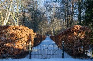 The Bothy at Bowhill - 5