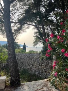 Villa Pinus - Stari Grad - 1