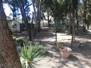 Wild Paradise - Canosa di Puglia - 4