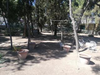 Wild Paradise - Canosa di Puglia - 2