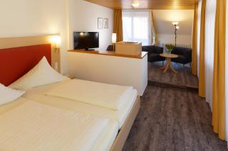 Hotel Hirschen - Glottertal - 9
