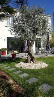 Chez Lily - Vélizy-Villacoublay - 9
