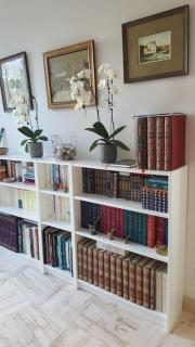 Chez Lily - 4