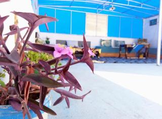 Welcomehome - Chefchaouen - 8