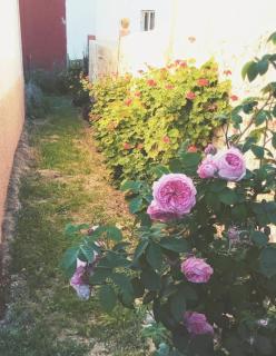 Welcomehome - Chefchaouen - 2