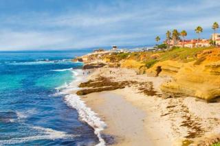 Coastal Lux by Cardo - Ocean Views, Steps to Beach - 7