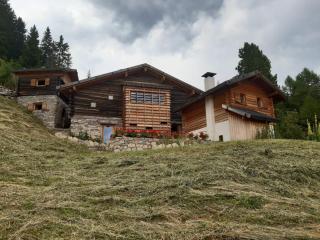 Alpenchalet Waldl - la Lepre - Palù del Fersina - 5