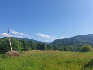 Valea Doamnei - Nucşoara - 8