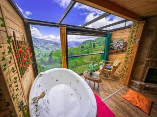 Organic village bungalow - Ayder Yaylasi - 8