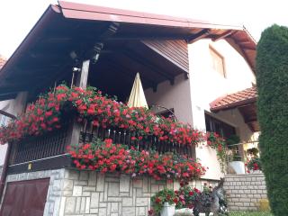 Apartment Vihor - 5
