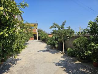 Sokol Guest House - 0