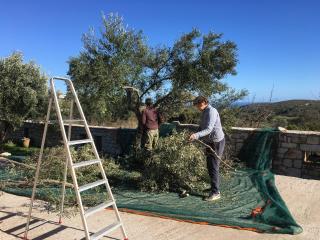 KYTHIRA ISLAND RETREAT - Áyios Ilías - 4