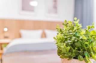 Hotel Solinger Hof - Solingen - 7