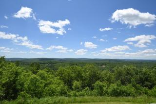 Dream Big - Swanton - 7
