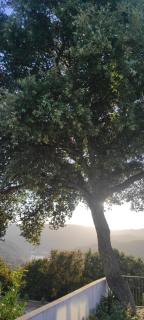 VillaCella - Gerês - 7