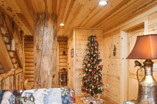 Big Log Lodge - McHenry - 1