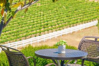 Gaia Inn & Spa- Adult Only- Temecula Wine Country - Temecula - 7