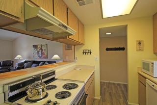 PS863 - Green Tee - Meredith Lodging - Palm Desert - 3