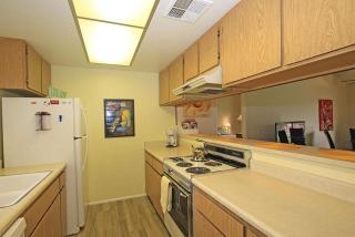 PS863 - Green Tee - Meredith Lodging - Palm Desert - 2