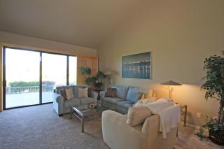 V3859 - Waterfall hole - Meredith Lodging - Palm Desert - 6